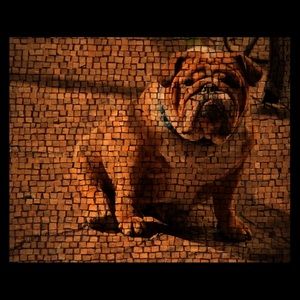 Meet your Posher, Rosa